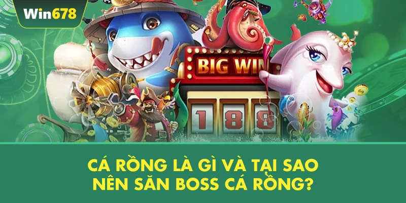 Cá Rồng Là Gì Và Tại Sao Nên Săn Boss Cá Rồng?
