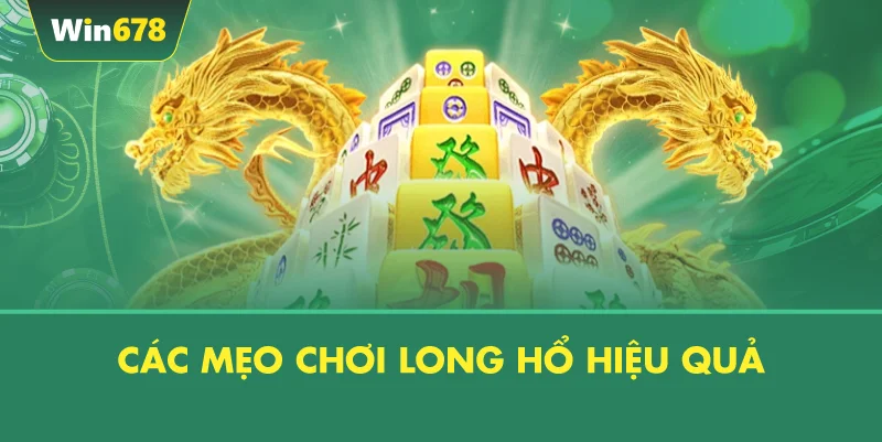 Các Mẹo Chơi Long Hổ Hiệu Quả