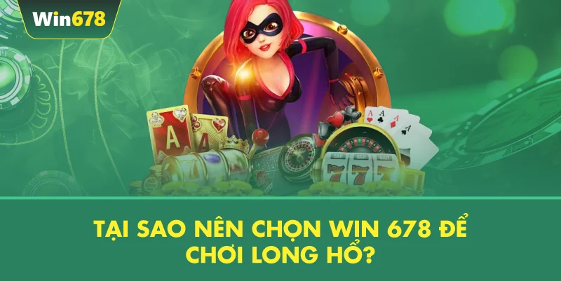 Tại Sao Nên Chọn WIN 678 Để Chơi Long Hổ?